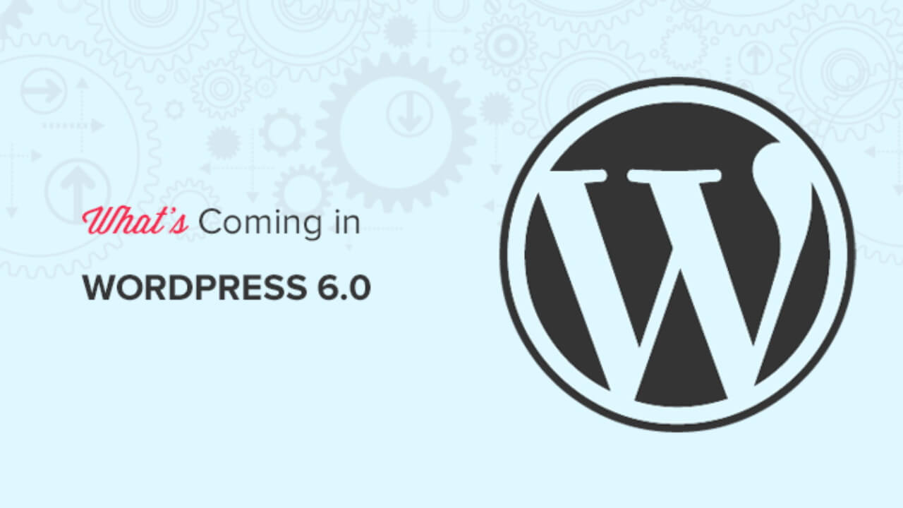 Wordpress 6.5